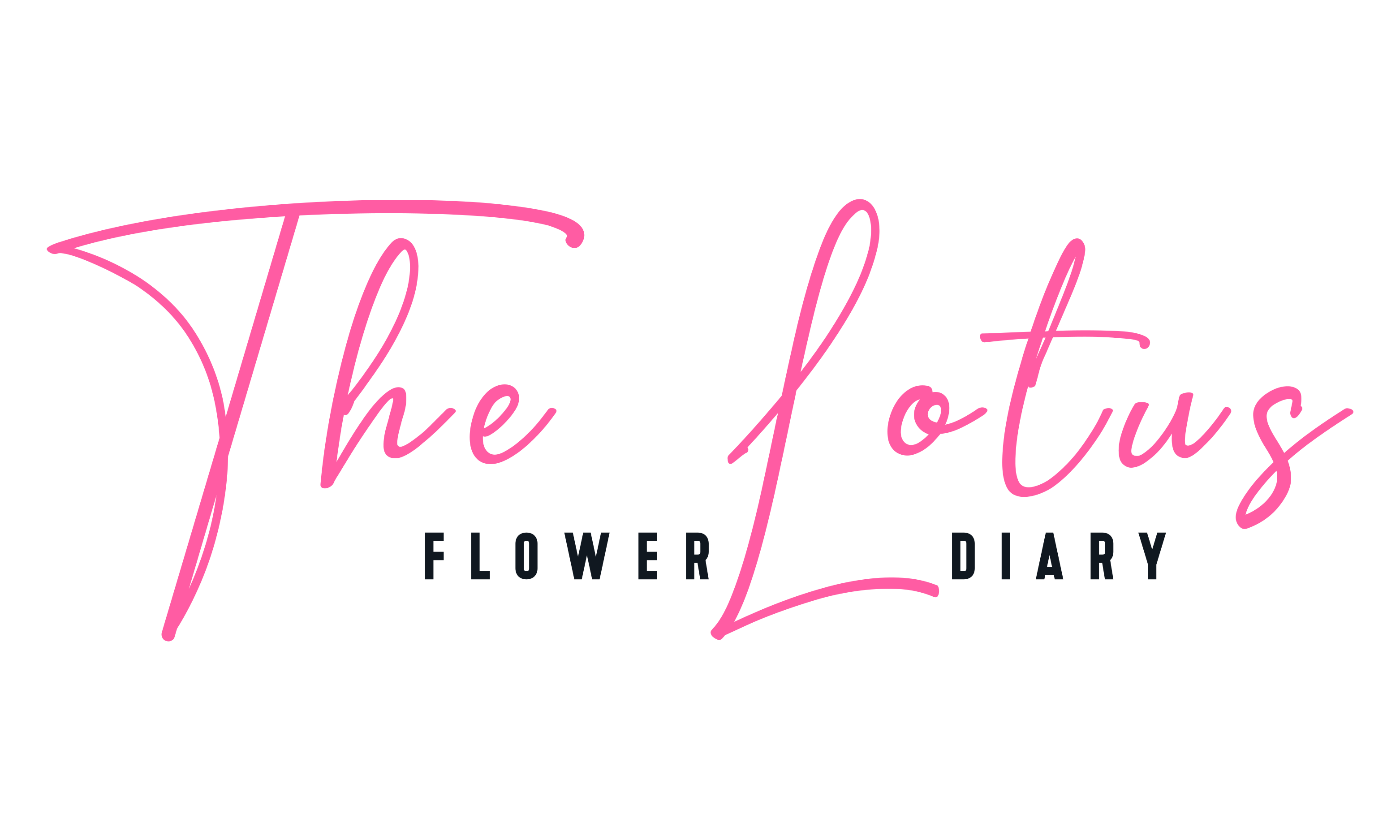 The Lotus Flower Diary